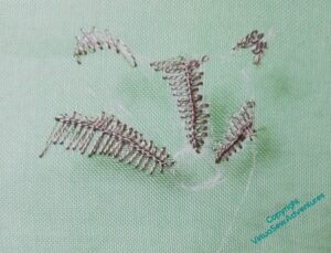 Green gause with first layer of stitching - vandyke stitch underlayer