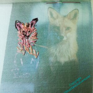 Start of an embroidery of a fox on gauze, with the guiding photo showing through.