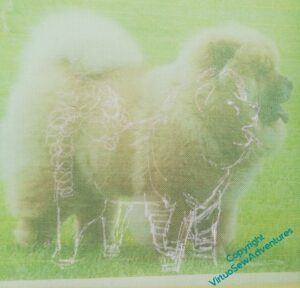 Sketch on gauze for Pooh-Bah, laid over the photo I'm using as a model.