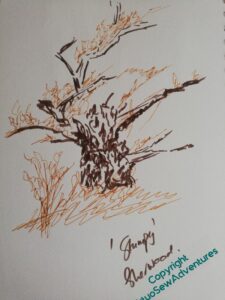 Quick scrappy sketch in brown and amber, showing "Stumpy", one of the oaks in Sherwood Forest.